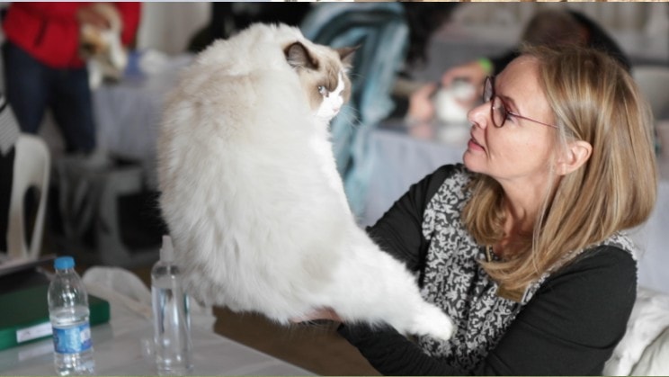 woman with her beautiful white cat