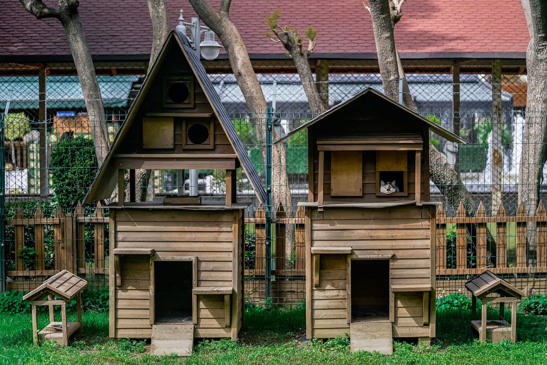wooden cat houses