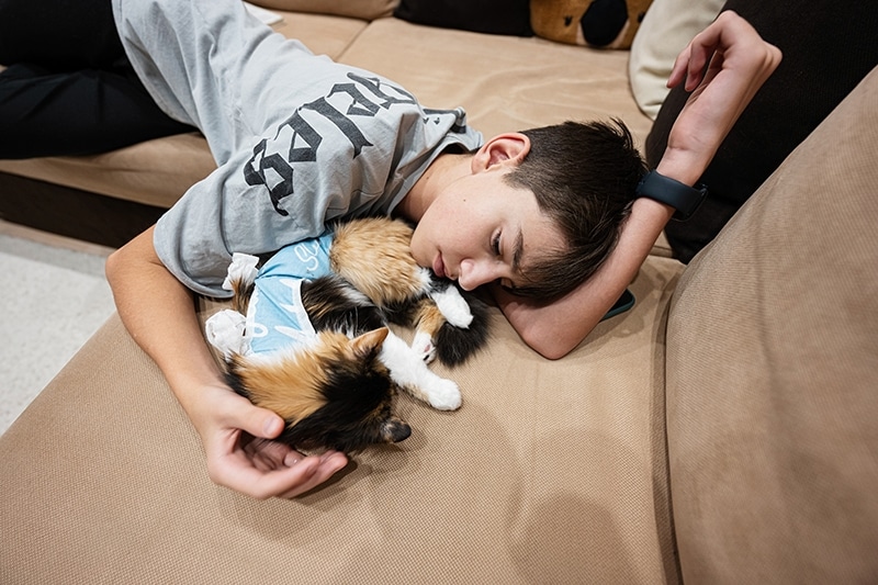 young boy taking care of a cat after surgery