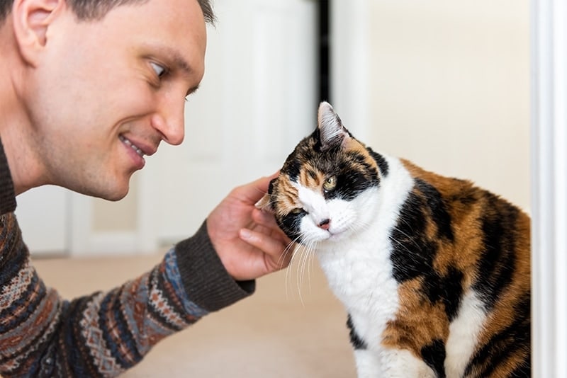 young man rubbing cats ears