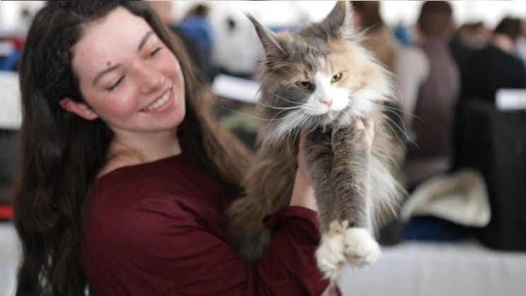 young woman smiling at her pet cat