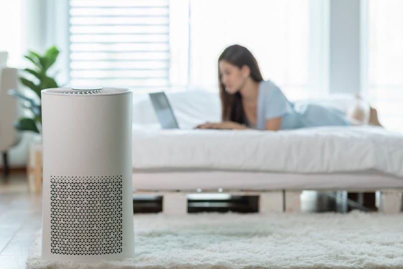 young woman using an air purifier at home