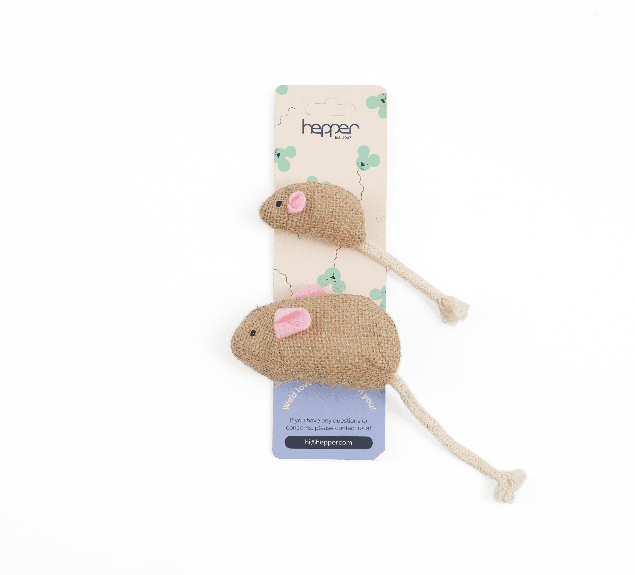 15 Best Kitten Toys of 2024 Reviews & Top Picks Catster