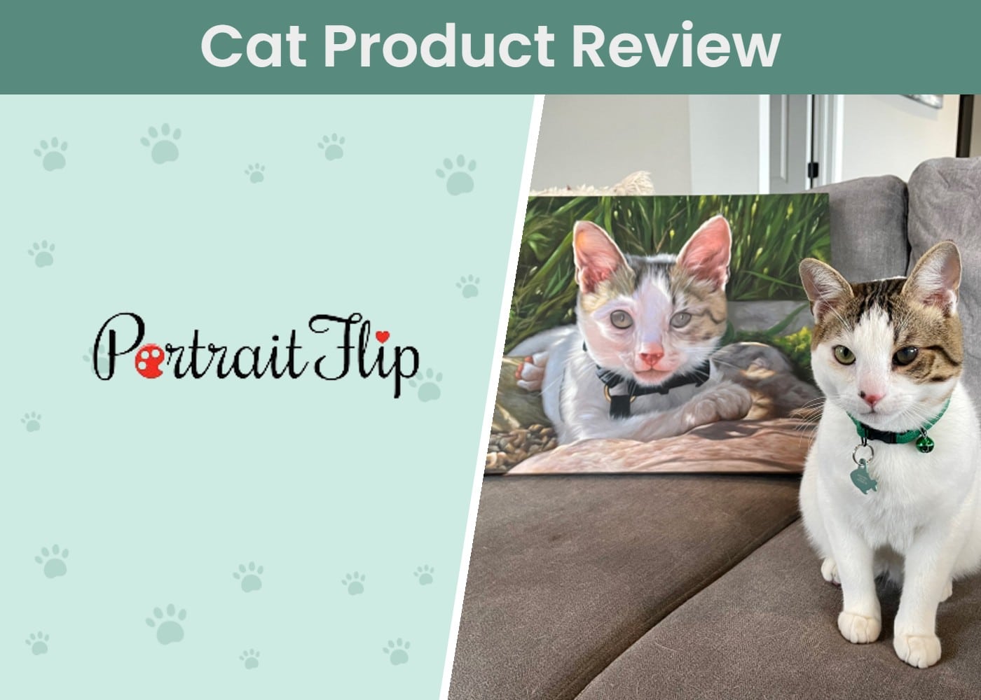 CAT_SAPR_Portraitflip Review