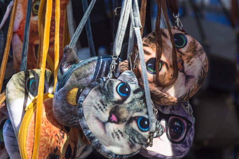 Cat Design Bag