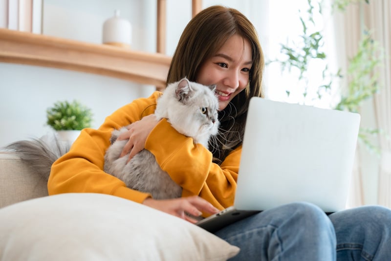 Cat Owner with Laptop