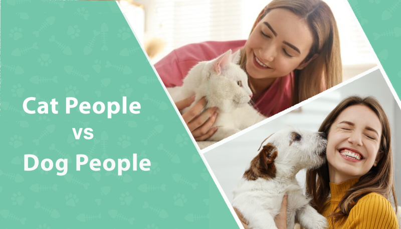 Cat People VS Dog People Side By Side