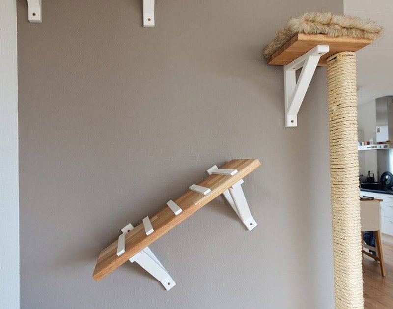 DIY Climbing Wall for Cats