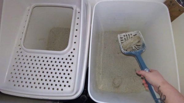 Easy to scoop cat litter