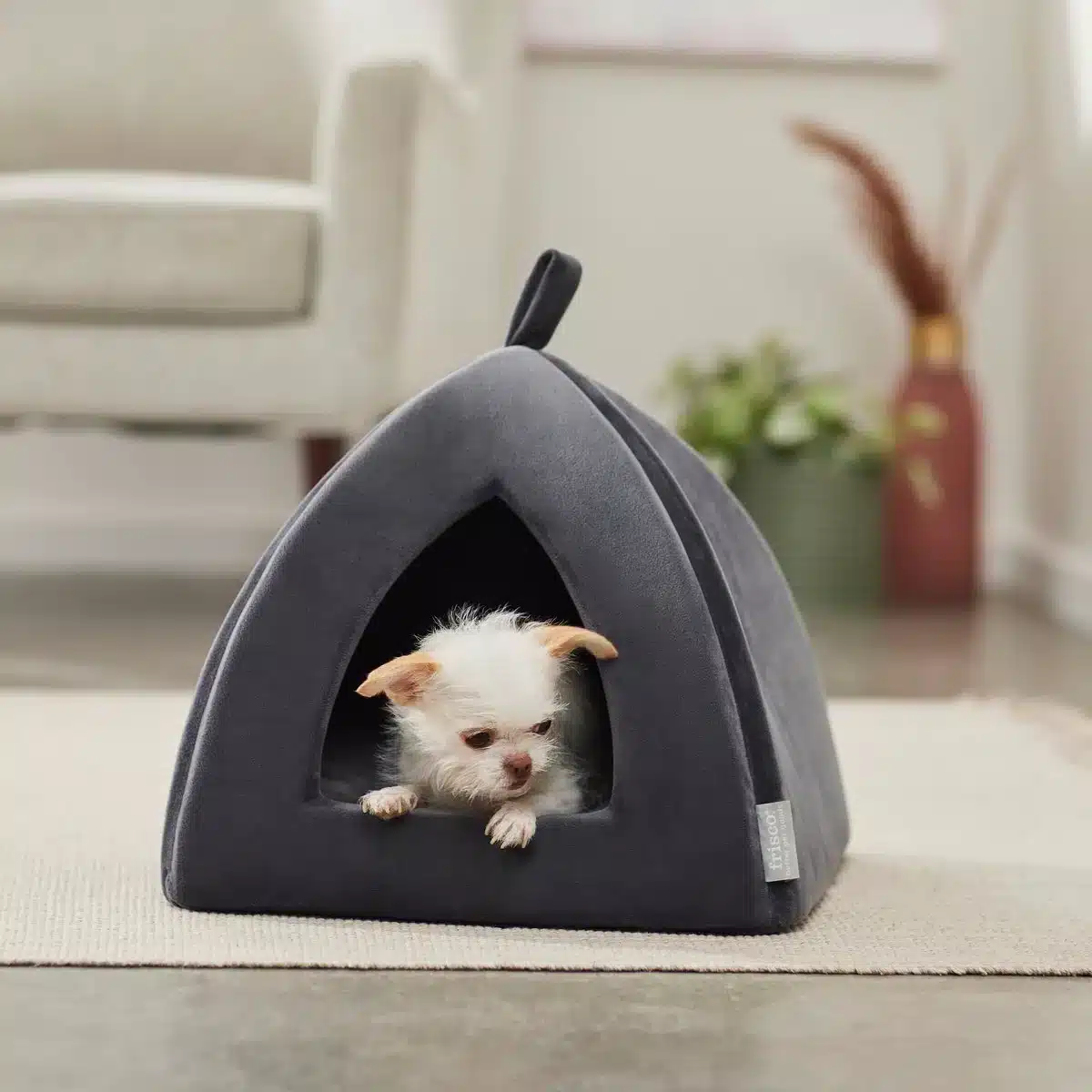 Frisco Tent Covered Cat Bed