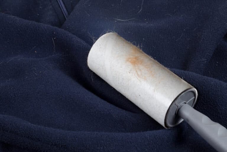 How to Get Rid of Cat Hair on Clothes 4 Easy Ways Catster