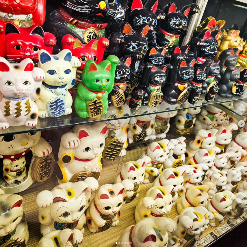 Lucky Cat Museum