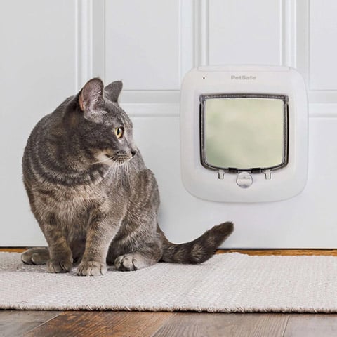 PetSafe 4-Way Locking Microchip Entry Cat Door