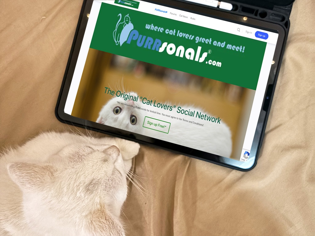 Purrsonals.com website