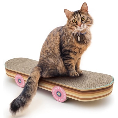 Suck UK Cat Scratch Pad Skateboard Cat Scratchers for Small Breeds