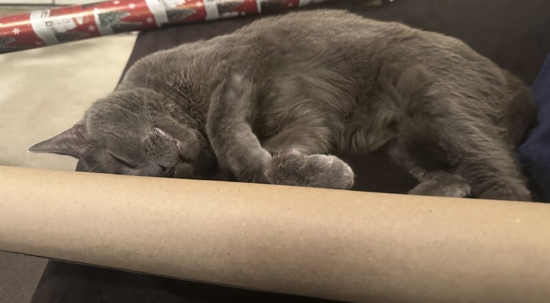 This cardboard is incredibly soft
