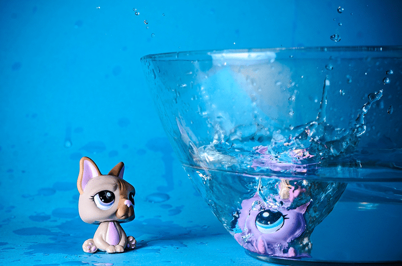 Toy cat with a blue background and a glas bowl