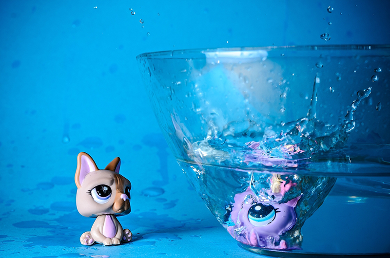 Toy cat with a blue background and a glas bowl