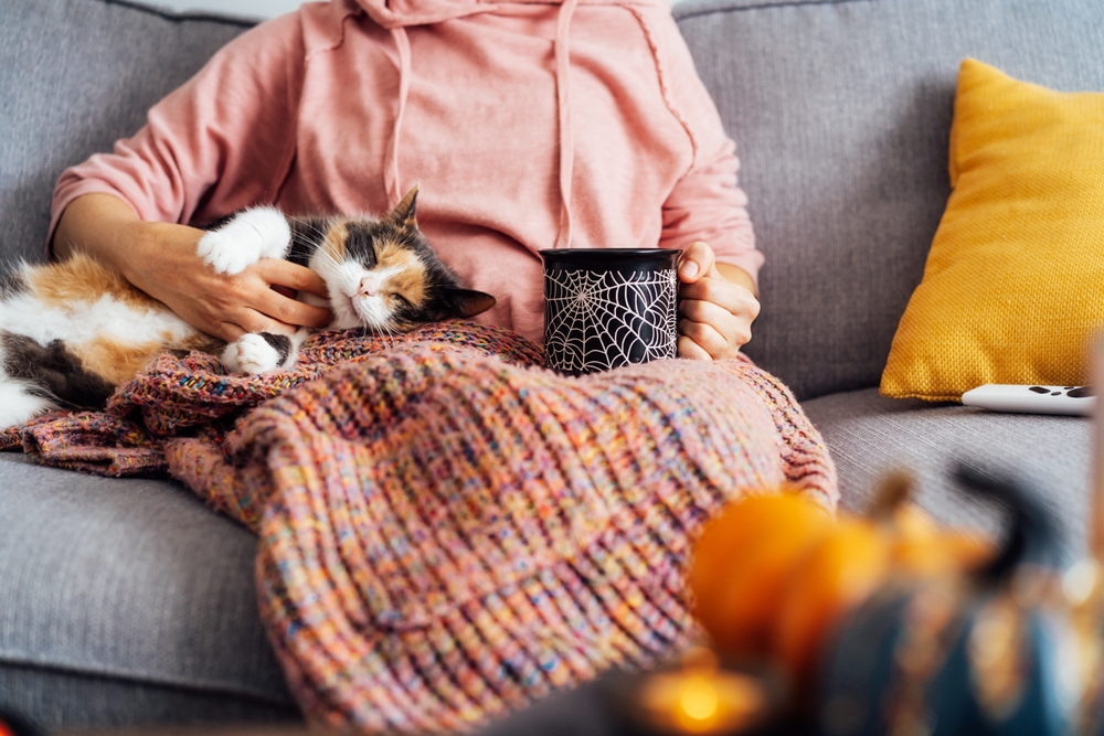 Woman in plaid stroking relaxed multicolored cat pet on the sofa