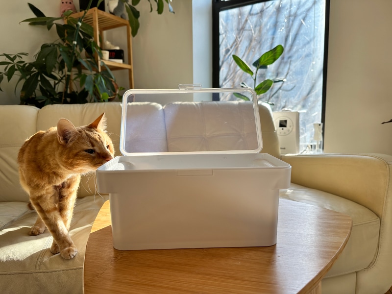 Yamazaki Airtight Pet Container - cat sniffing the container