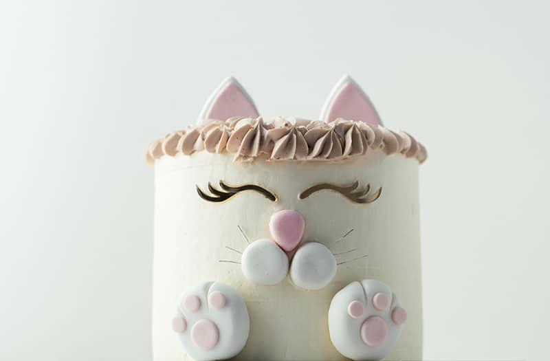 a cute cat-themed cake