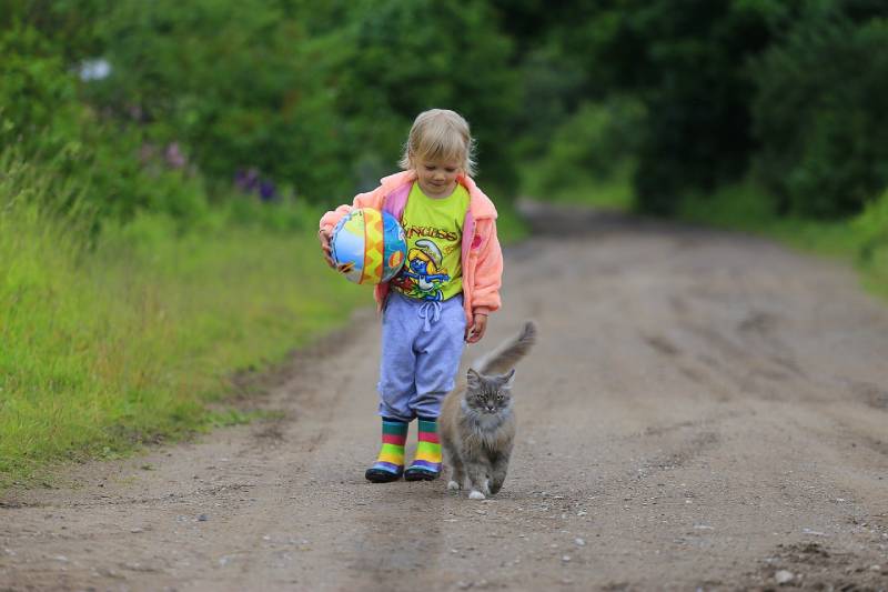 a cute young girl walking with her cat