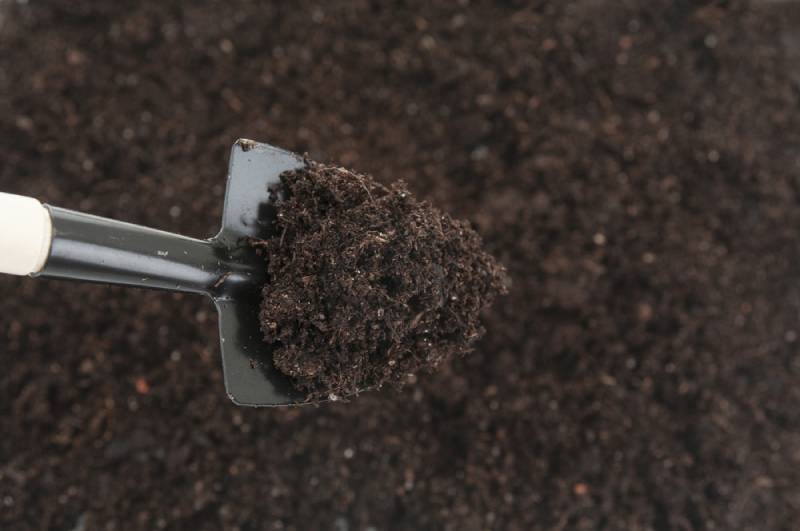 a garden shovel with soil