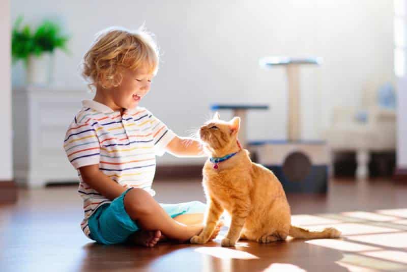 a happy kid petting a cat at home