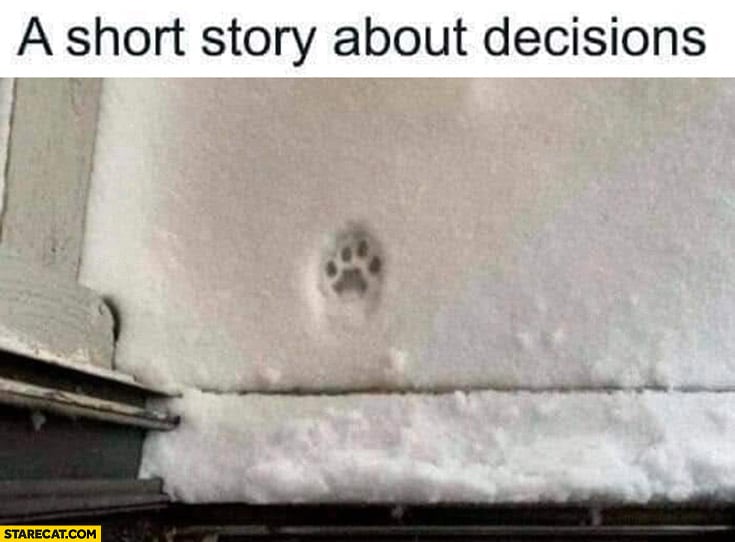 a-short-story-about-decisions-cat-meme