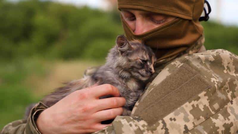 a soldier hugging a little kitten