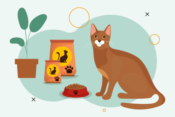 best cat food dry_food_graphic