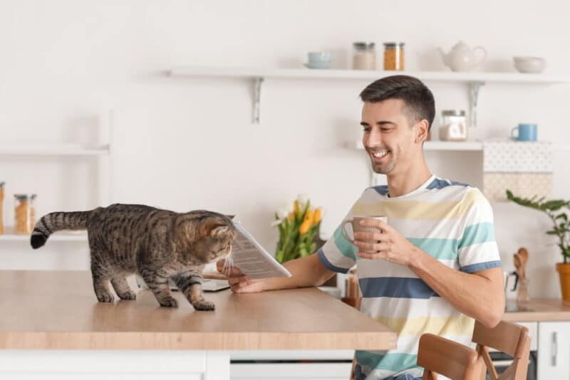 cat owner drinking coffee