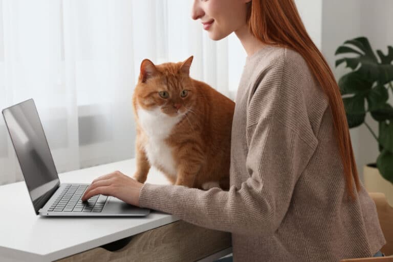 Why Does My Cat Sit and Sleep on My Desk? 8 Possible Reasons Catster