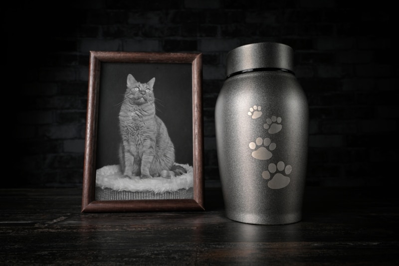 decorative urn next to a cat picture
