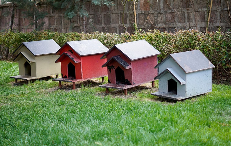 four outdoor cat shelters