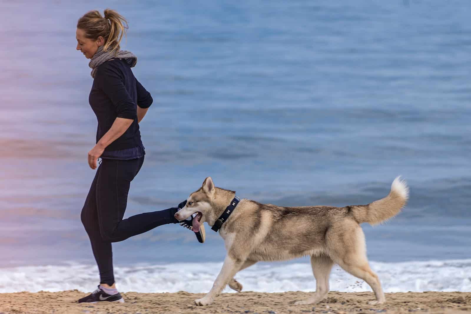 woman and dog on seashore exercise running