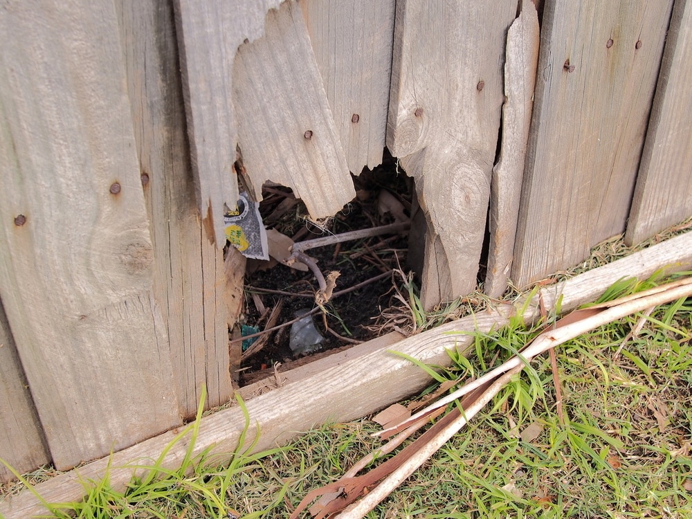 hole in panel fence