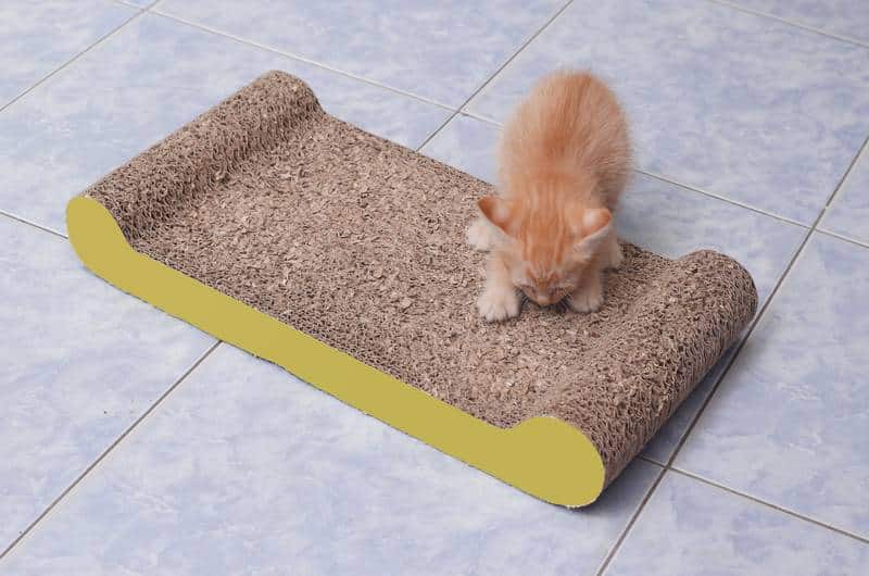 kitten scratching on scratching pad