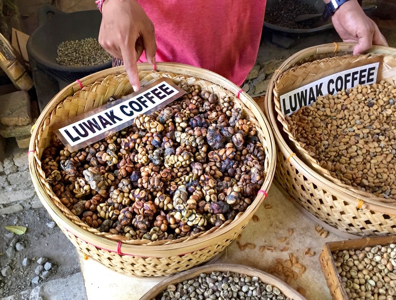 kopi luwak in native basket