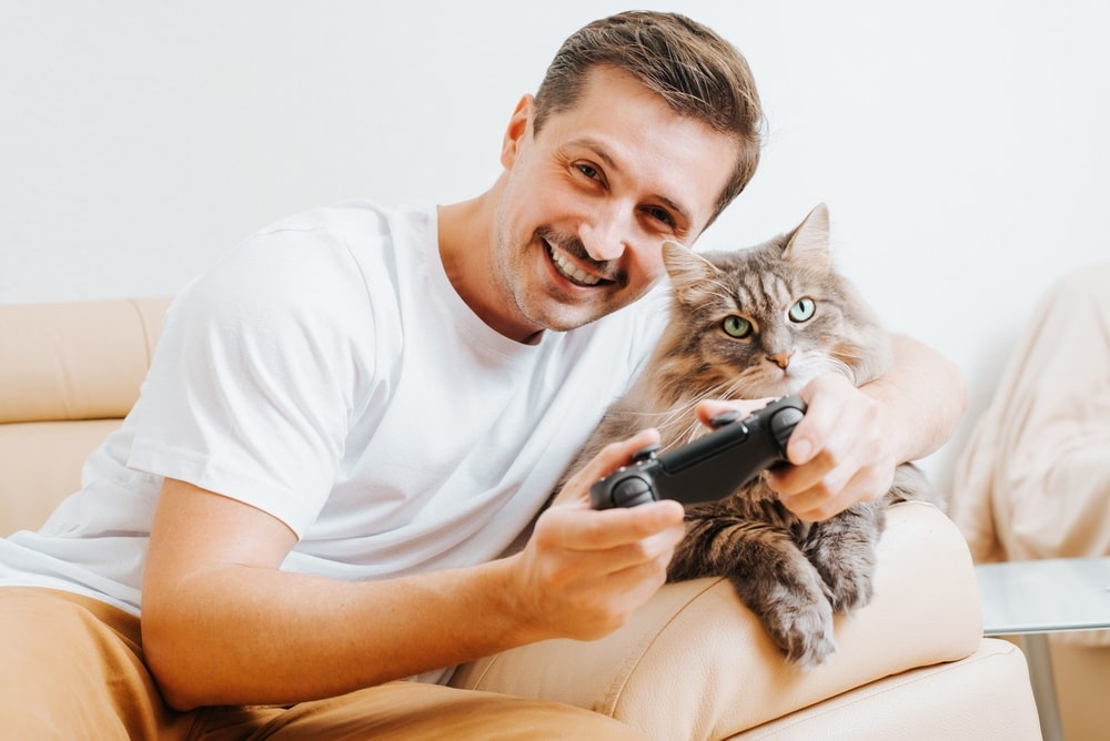 10 Free Cat Video Games You Can Play Online Catster