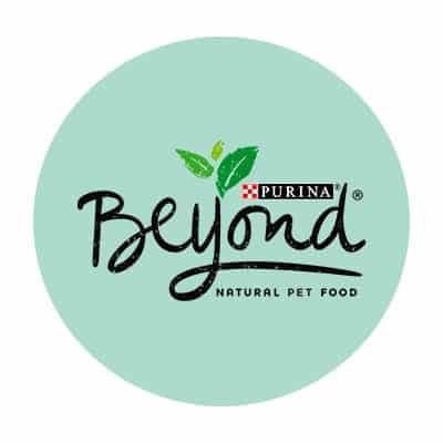 purina-beyond-food-review