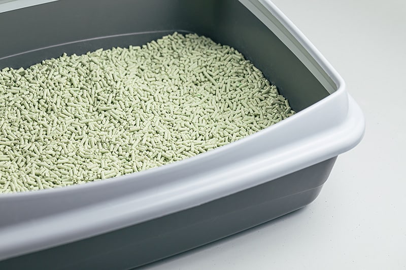 tofu cat litter in a litter box