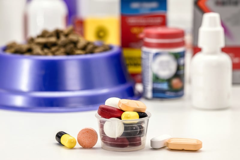 various pharmaceutical products for pets