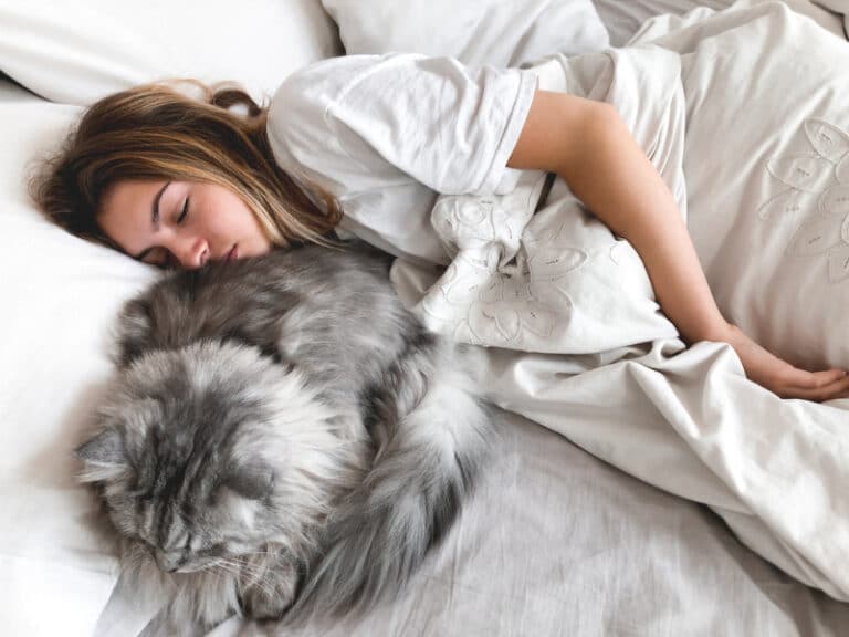 Should I Let My Cat Sleep With Me? Vet-Reviewed Pros & Cons - Catster