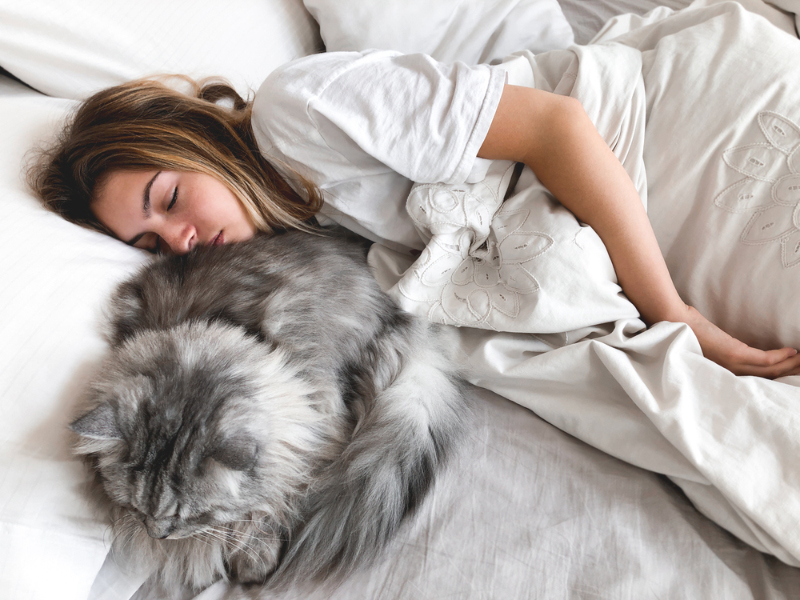 woman sleeping on bed with her cat