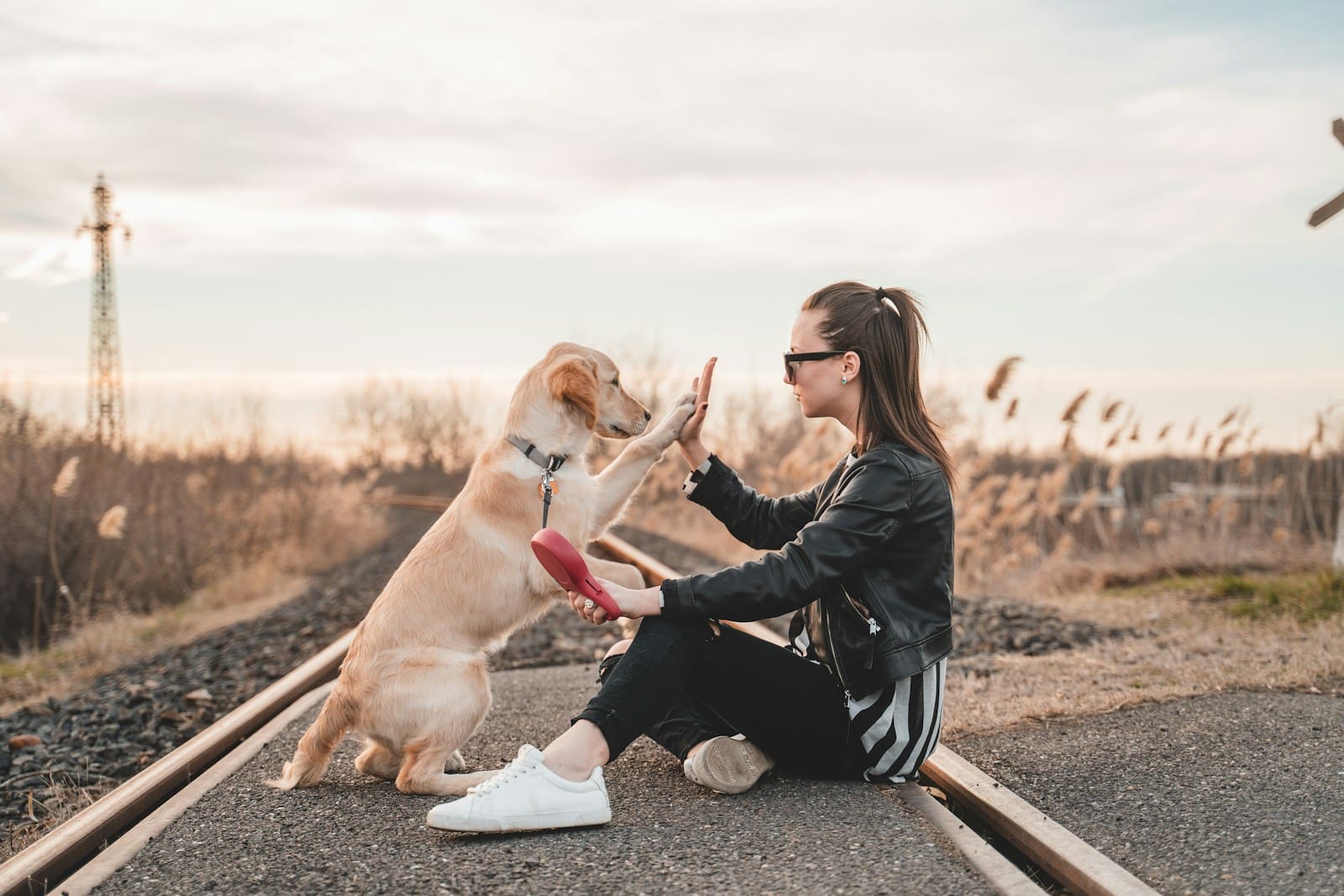 woman sitting and playing with dog outdoors