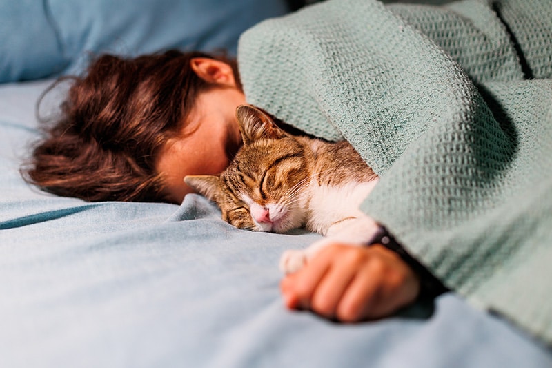 young boy sleeping beside the cat