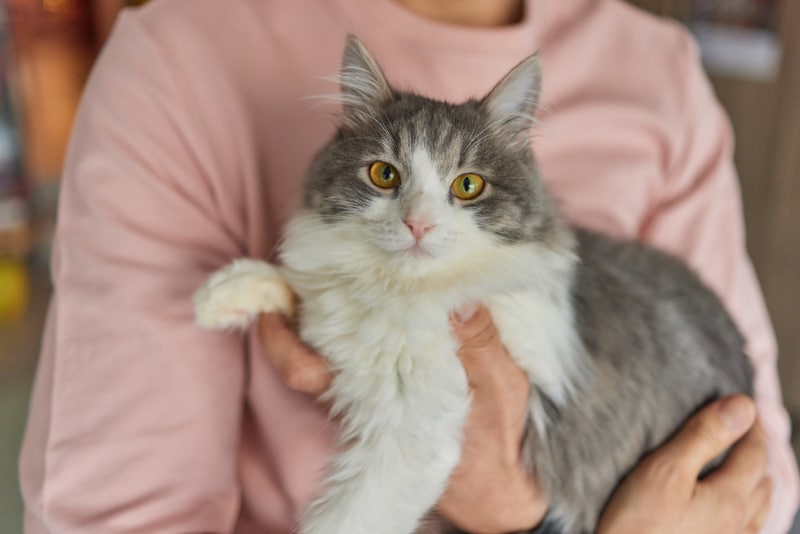 young man holding a cat