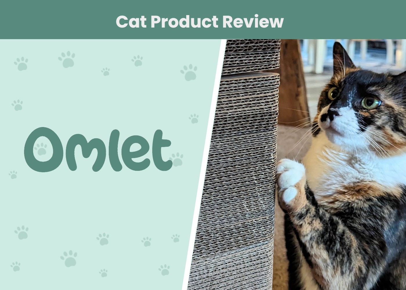 CAT_SAPR_Omlet Cat Scratcher