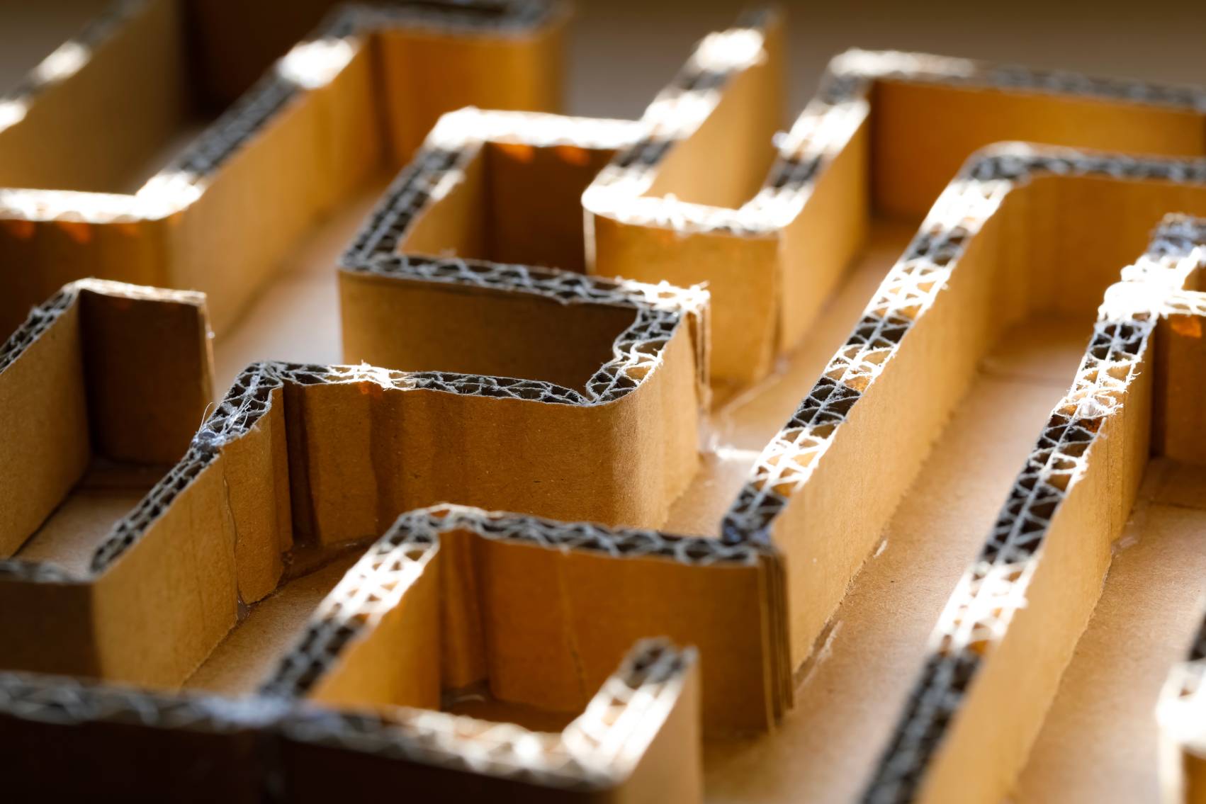 Cardboard Maze